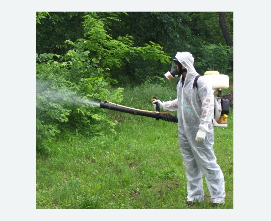 обработка территории от клещей в Кондопоге