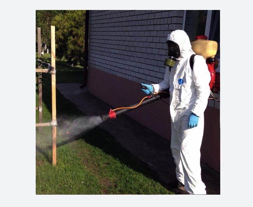 травля клещей на участке в Кондопоге