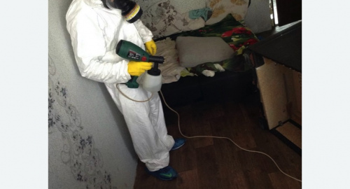 Обработка квартир от насекомых в Кондопоге