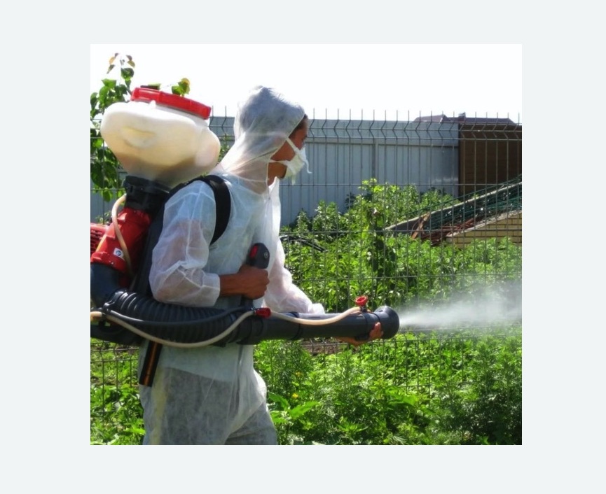 Акарицидная обработка территории в Кондопоге