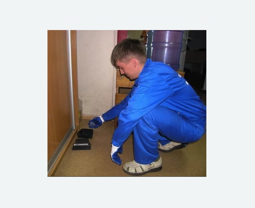 Дератизация крыс в Кондопоге