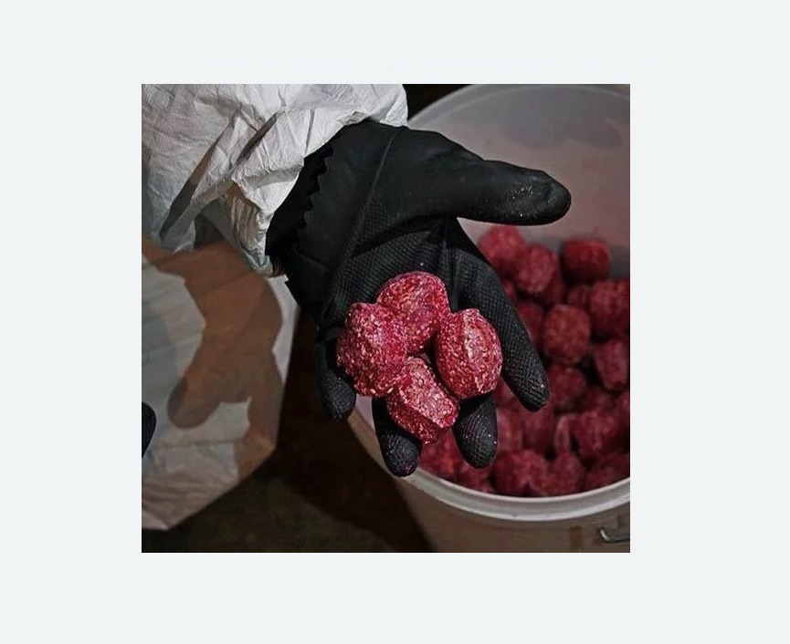 Обработка от крыс в Кондопоге