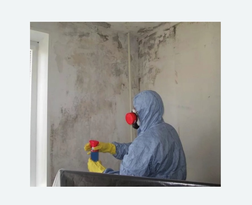 Удаление плесени в квартире в Кондопоге