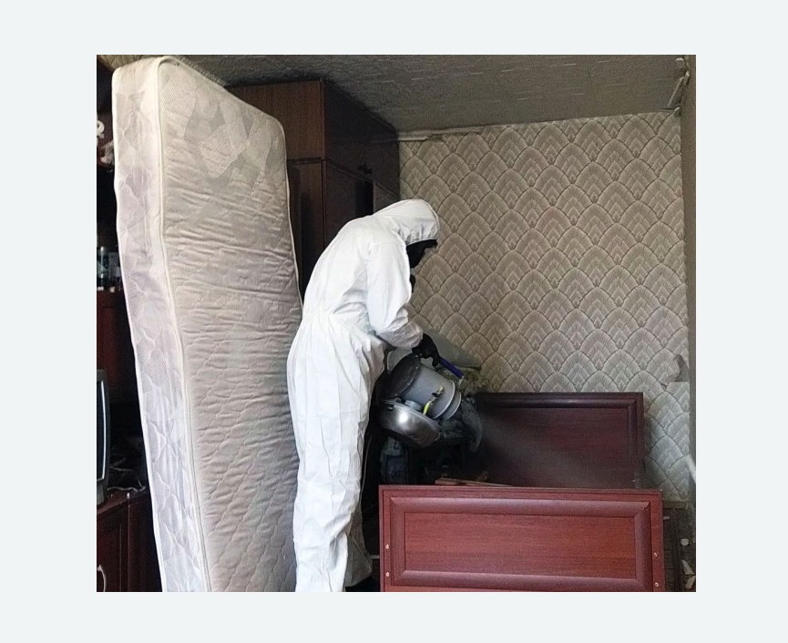 дезинфекция от клопов в Кондопоге