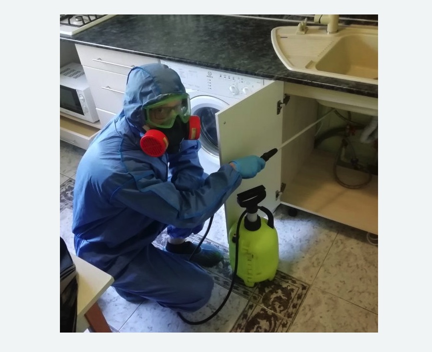 обработка от муравьев в квартире в Кондопоге