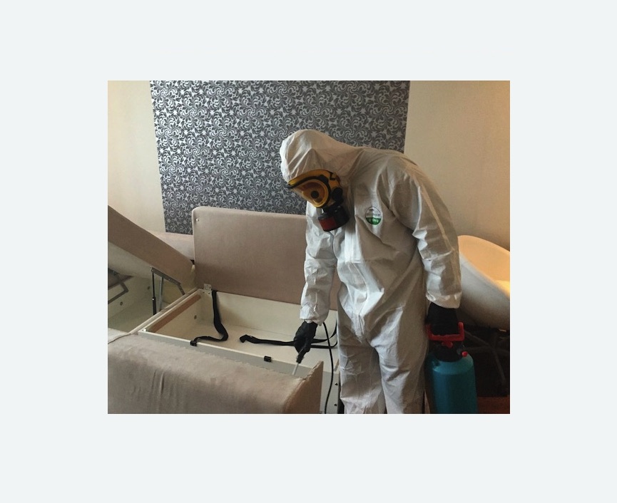 уничтожение клопов в квартире в Кондопоге