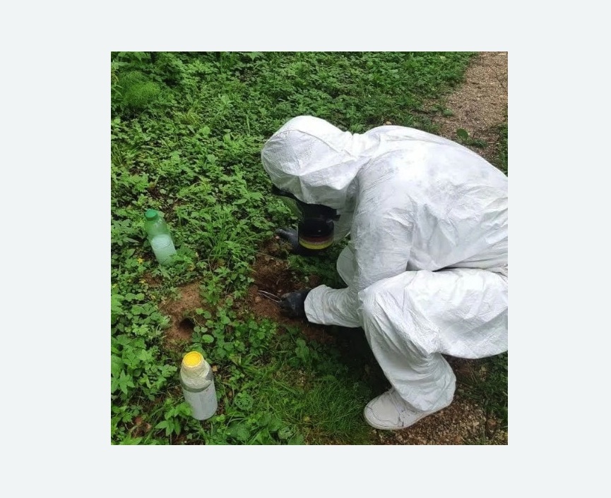 уничтожение кротов на участке в Кондопоге