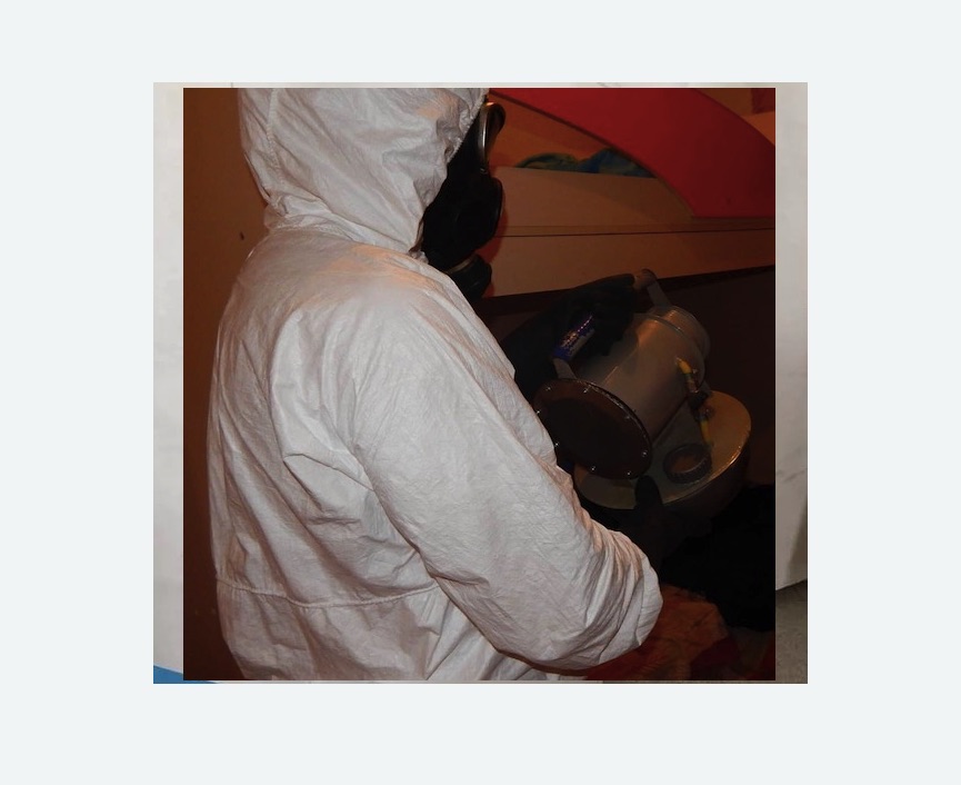 Дезинфекция от муравьев в Кондопоге