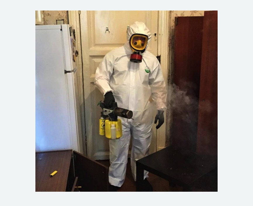 уничтожение муравьев в квартире в Кондопоге